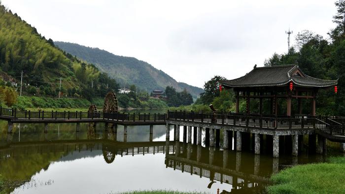 湿地公园美景 摄影：刘建平