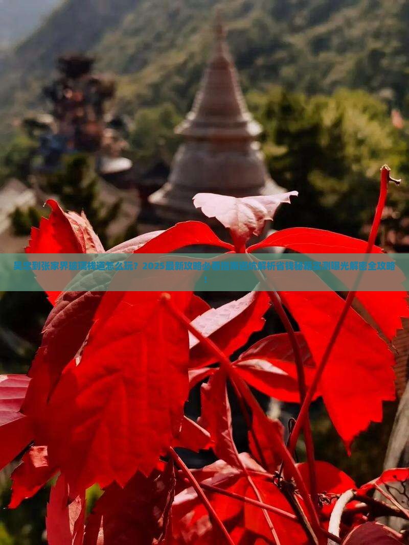 吴忠到张家界玻璃栈道旅行社