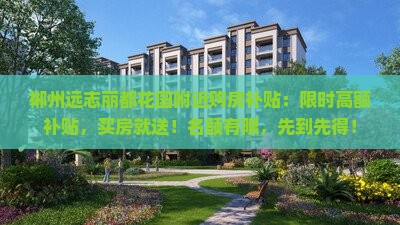 郴州远志丽都花园附近购房补贴