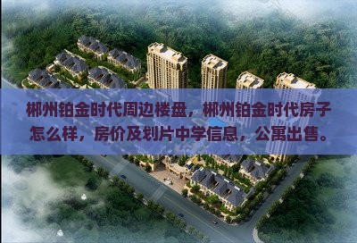 郴州铂金时代周边楼盘